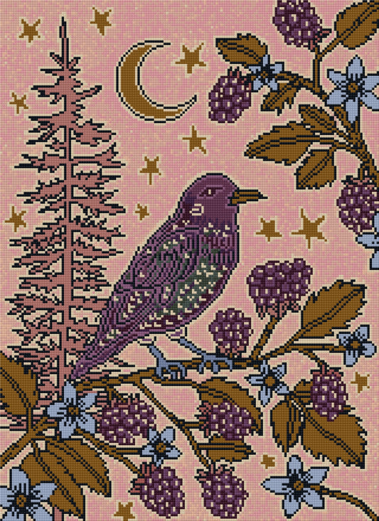 Moonlit Starling by Andrea Lobell- Diamond Art Kit (40x55cm Square Drill) Hand Rendered