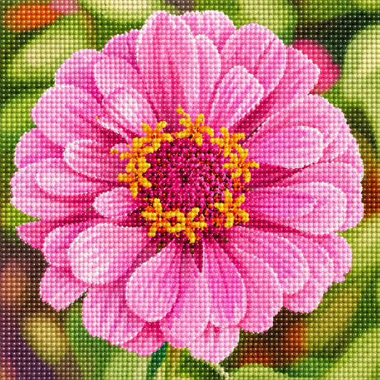 Sweet Zinnia- Diamond Art Kit (40x40cm, Round Drill)