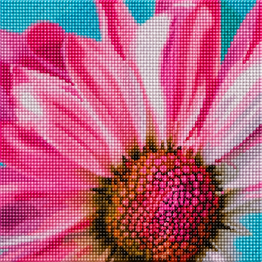 Pretty in Petals- Diamond Art Kit (40x40cm, Round Drill)