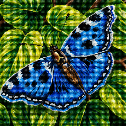 Azure Wings- Diamond Art Kit (40x40cm, Round Drill)