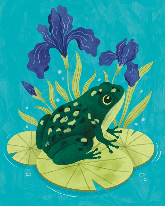 Frog & Blue Irises-Art by Leysan Shayak- Diamond Art Kit (40x50cm, Square Drill)