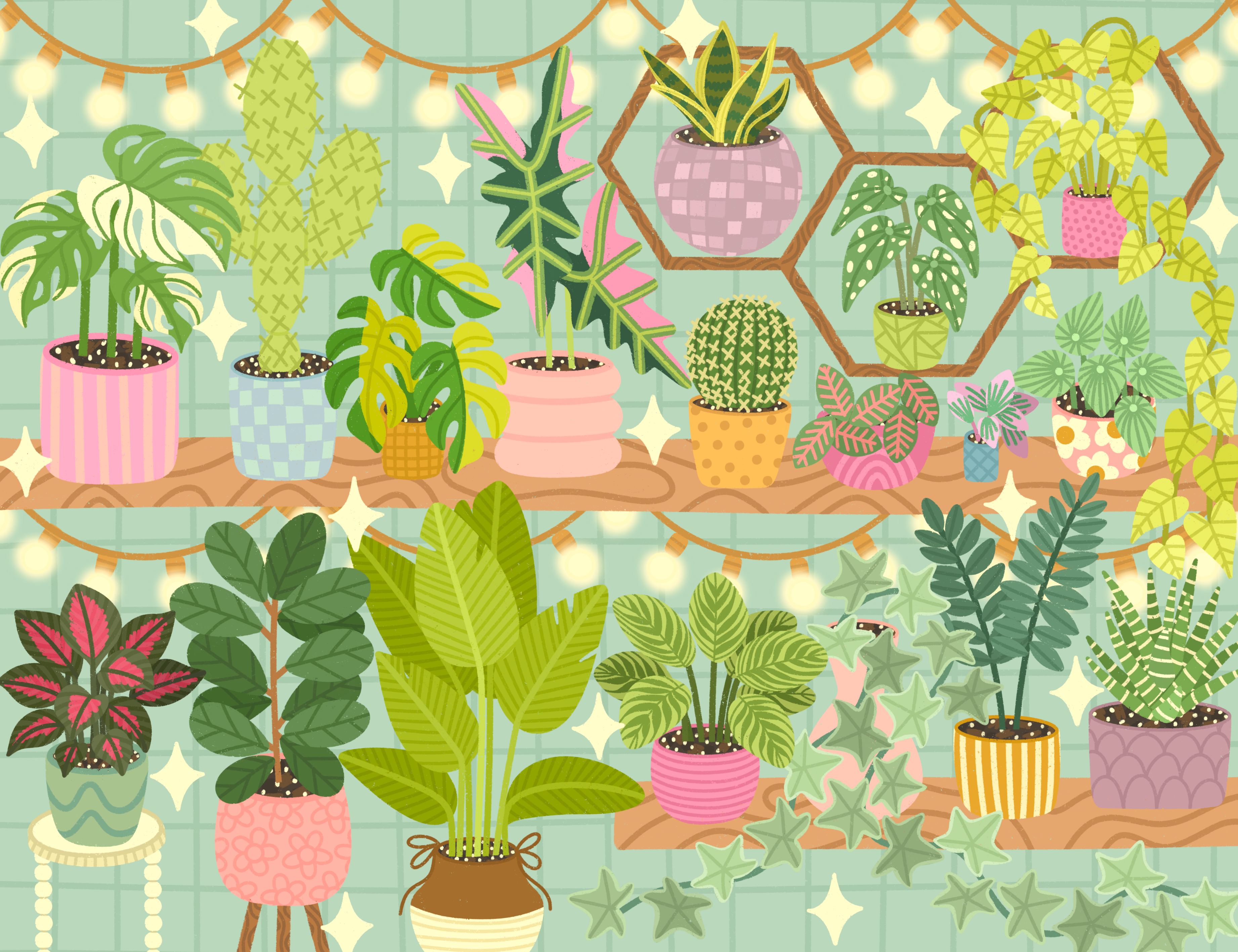 Houseplant Haven by Meg Ryan Designs- Diamond Art Kit (65x50cm)