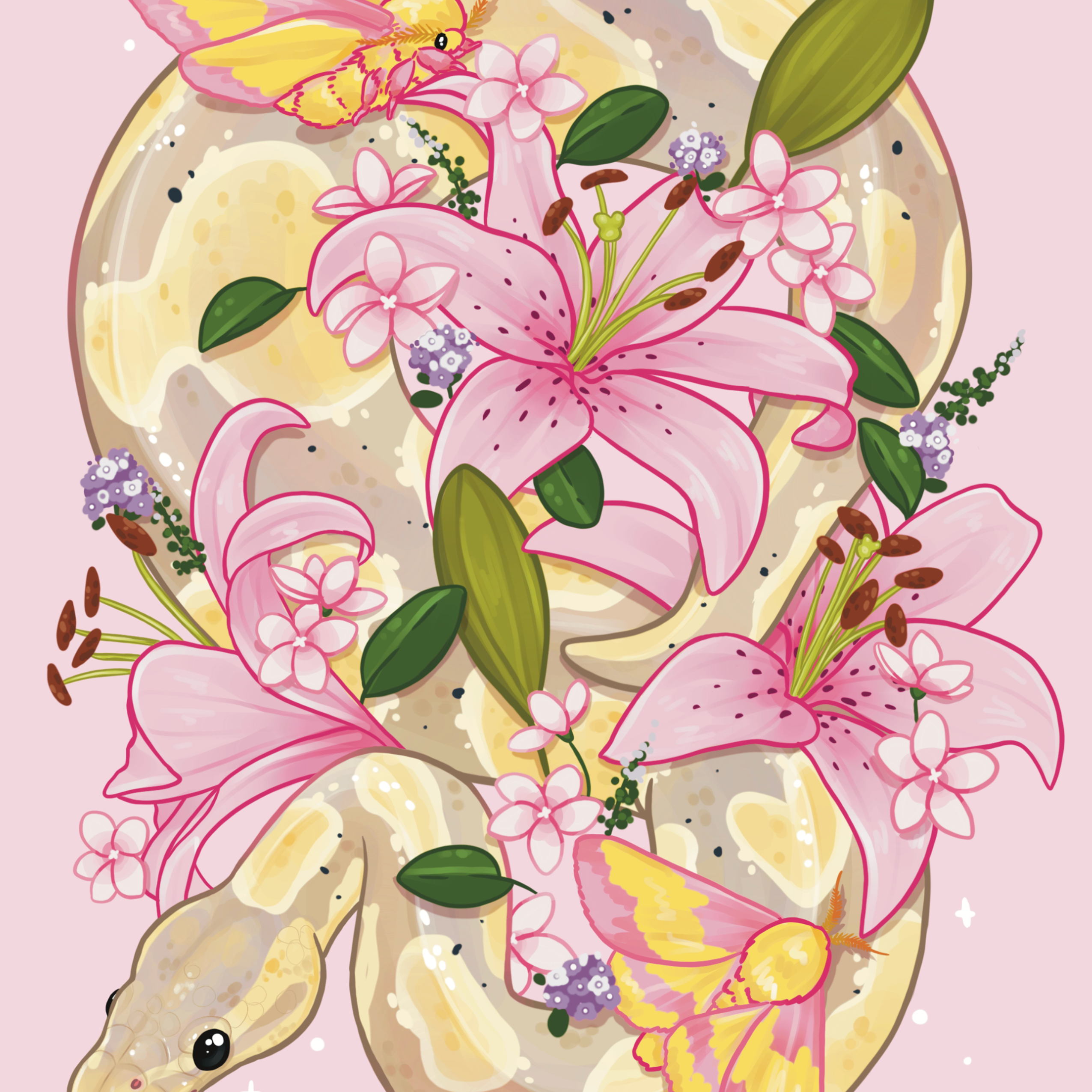 Lily Moon Ball Python by Angelxbeans- Diamond Art Kit (45x60cm, Square Drill)