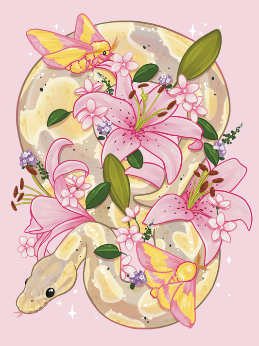 Lily Moon Ball Python by Angelxbeans- Diamond Art Kit (45x60cm, Square Drill)