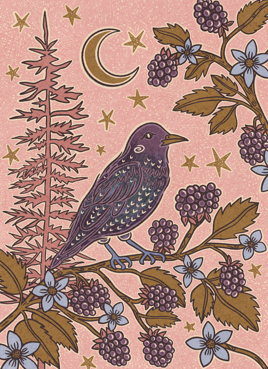 Moonlit Starling by Andrea Lobell- Diamond Art Kit (40x55cm Square Drill) Hand Rendered